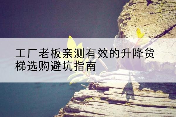 砚山升降货梯怎么选-工厂老板亲测有效的升降货梯选购避坑指南