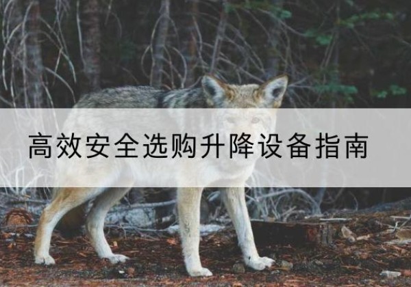 砚山升降货梯厂家推荐-*安全选购升降设备指南