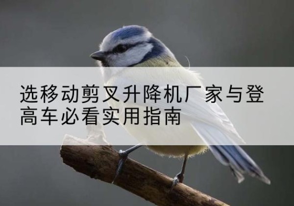 砚山电动升降机厂家-选移动剪叉升降机厂家与登高车必看实用指南