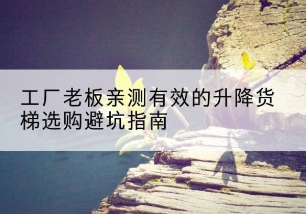 砚山升降货梯怎么选-工厂老板亲测有效的升降货梯选购避坑指南